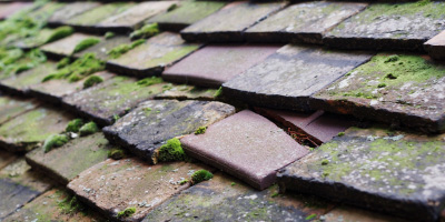 Wisbech St Mary roof repair costs